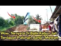 Nggak Nyangka || Di Balik Kebun Jati Terdapat Puluhan Bangli Mewah || Normalisasi Kali Wadas