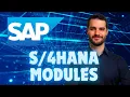 SAP Modules Explained