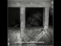 سجين يمني 🇾🇪 قطع قلبي بأغنيته 😭💔💔 ياحضرة القاضي ارحم حالتي