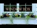 How to plant a high window box
