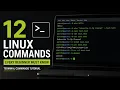 12 Essential Linux Commands You Should Know in 2026