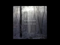 Random Forest - Fireflies