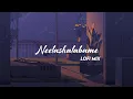 Lagu Neelashalabame | Lofi Mix | Malayalam Lofi | Slowed + Reverb | Charminar