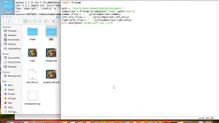 Generate comparison report between two folders using Python