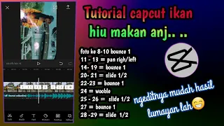 Download Tutorial capcut lagu ikan hiu makan anjing MP3