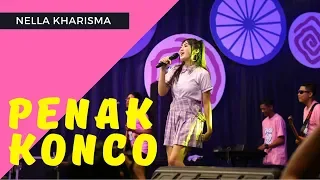 Download Penak Konco - Nella Kharisma ( Official Music Video ANEKA SAFARI ) #music MP3