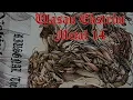 Download Lagu Ulasan Ekstrim Metal Malaysia 14 : Lahirnya Metal Buatan Melayu - LANGSUIR