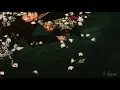 slenderbodies - anemone (Lyrics)