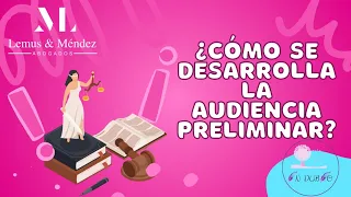 ¿Cómo se desarrolla la audiencia preliminar?