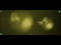 Fire Burning - Dave Audé Radio - Sean Kingston- (Somebody Call 911) - Music Visualization -Trippy-4K