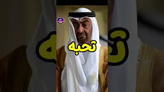 خمس دول تحب رئيس الامارات محمد بن زايد وخمسة دول تكرهه حقائق لايعرفها العقل 
