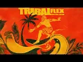 Hakan Akkus, Can Sezgin - Tribal Flex (Official Canvas Video)