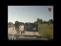 Car crash during traffic stop in Sheboygan County