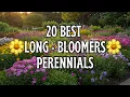 Lagu 🌼 Top 20 Best LONGEST Blooming Perennial Flowers - BLOOMS THAT NEVER QUIT! 🌼