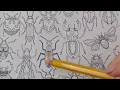 Coloring Insects of Secret Garden