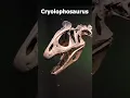 Download Lagu Antarctic Dinosaurs?🥶🤯🐧#science #education #dinosaur