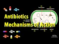 Lagu Antibiotics - Mechanisms of Action, Animation