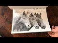 Farm Coloring Book