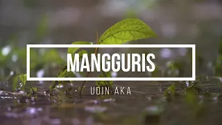 Download Mangguris - Udin Aka (Official Lyric Video) MP3