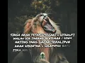 Download Lagu Story WhatsApp