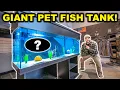 Buying a GIANT FISH TANK off FACEBOOK MARKETPLACE Bad Idea