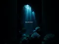 Download Lagu Saiyara song lyrics |aesthetic|Mohit chauhan \u0026Tarannum Mallik.. #love #aesthetic #lyrics #trend