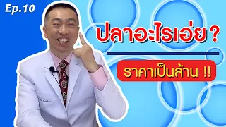 ค่าใช้จ่ายในการรักษาโรคมะเร็งรวมทั้งหมดประมาณเท่าไร