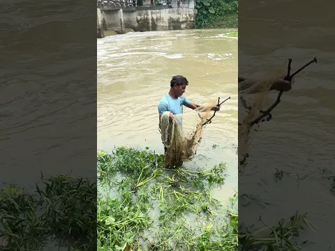 #fishing #fish