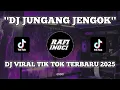 Download Lagu DJ JUNGANG JENGOK TIK TOK VIRAL