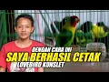 Lagu DENGAN CARA INI SAYA BERHASIL CETAK LOVEBIRD KONSLET - BERSAMA OM AGUNG CIBITUNG