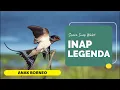Download Lagu Suara Inap Walet Legenda - Anak Borneo