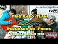 Download Lagu Parumaen Napogos, Cover Trio Lapo Tuak Lengkap dengan Teks