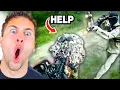 Download Lagu Airsoft Fights And Fails
