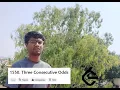 Leetcode Daily Problem 1550 Three Consecutive Odds
