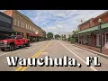 Wauchula Florida Quiet Affordable And Surrounded By State Parks