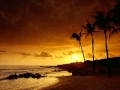 Download Lagu Aloha Oe - Hawaiian Guitar