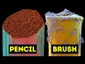 Daily Items Under Electron Microscope
