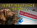 Is Pet Insurance Worth It