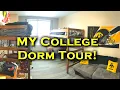 My College Dorm Tour at The University of Iowa Peterson Hall