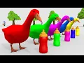 Download Lagu BELAJAR WARNA DENGAN HEWAN BEBEK WARNA WARNI | HEWAN WARNA WARNI | VIDEO ANAK ANAK