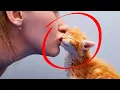 Do cats understand hugs and kisses