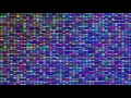 Processing p5 js - Day