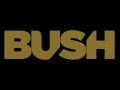 Bush Live in Texas