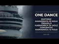 Harmonica Diatonic 10H Tremolo 24H Chromatic 12H How to play One Dance by Drake
