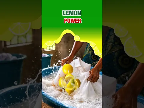 Lemon Bullet