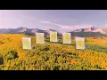 Lane 8 - Reviver [Remixed] (2022) (Cut Album)