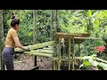 Download Lagu Surviving in the forest, the girl sets up a bamboo tent to live alone in the forest
