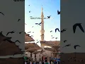 Lagu Qalbi Fil Madinah 🤍🪽 Slowed+Reverb Maher Zain \u0026 Harris J #beautiful #arabic #nasheed #viral #shorts