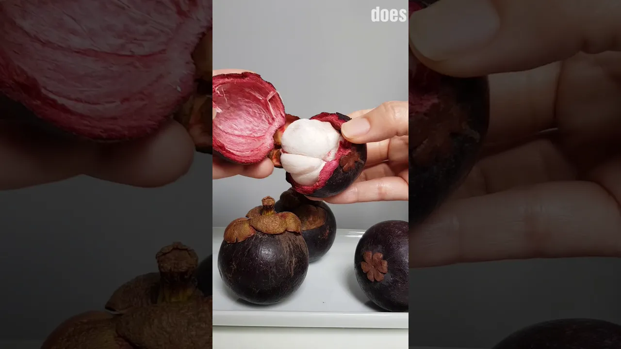 Mangosteen Fruit | The Way How to Open Mangosteen | The Queens of Fruit #mangosteen. 