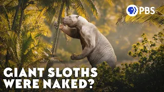Humanity Has Amnesia About Giant Sloths